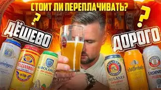 #422: ДОРОГАЯ ПШЕНИЧКА ПРОТИВ ДЕШЁВОЙ. ЧТО ВЫБРАТЬ?