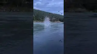 Отдых на Катуни ❤️❤️❤️