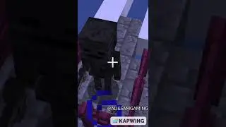 Minecraft Wither Skeleton IQ Test! 😂 #Shorts