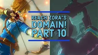 REACH ZORA