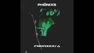 phonixs - phonxdxta [Basshunter - DotA Phonk Remix]
