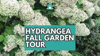 Hydrangea Fall Garden Tour | Hydrangea Garden | Garden Tour