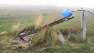 Karadeniz Zekası   Domuz Tuzağı