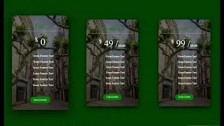 How To Make Pricing Table Using HTML And CSS | Price Plan on Website In HTML & CSS