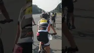 Dog - pacemaker at #velo100ka
