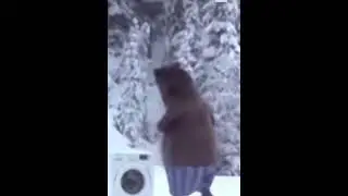 Freddy fazbear at 3 am? (gone wrong) 