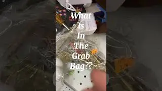 What is in the thrifted grab bag? #thrifted