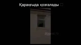 Осы қараңғыда өмір сүретін бір нәрселер шынымен де бар ғой…