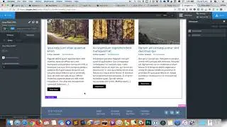 Using offset in Easy Posts element in Oxygen