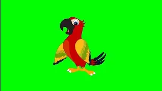 Talking Macaw #green screen video #nocopyright  #animation