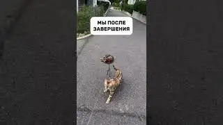 Заряжаемся энергией друг от друга на АОФИconnect.PROFITNESS. https://aoficonnect.ru/profitness