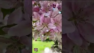 Три поради для фото на смартфон 