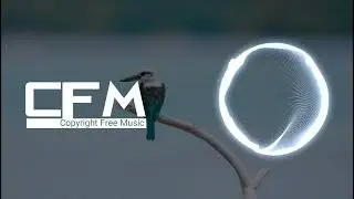 Royalty Free Background Music For Content Makers And Youtube Videos