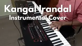 Kangal Irandal - Instrumental Cover by Rejo Abraham Mathew | Subramaniapuram