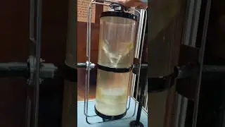 Formation of Vortex in water #vortex #shorts #physics
