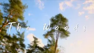 T h e   W o o d s
