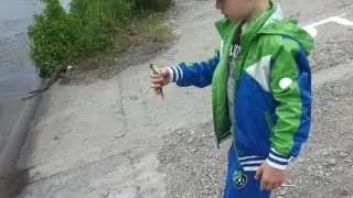 Первая рыба сезона 2017