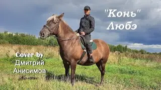 Конь Любэ cover by Дмитрий Анисимов