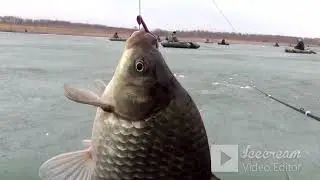 Карасики со Льда
