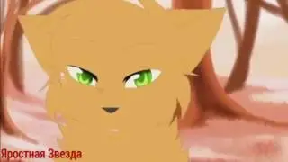 Коты - Воители Белка и Ежевика - Zero