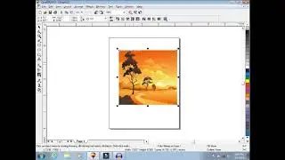 How to import a Picture in Corel Draw Lesson 20