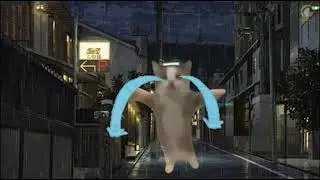 Happy Cat meme but dead inside (slowed + reverb) 10 hrs