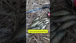 Ёрш в кулинарном плане
