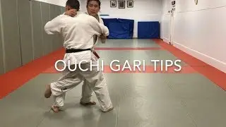 Ouchi gari tips