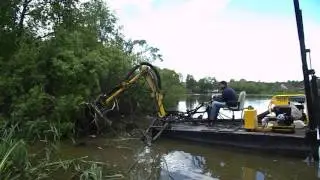 Расчистка кустарника