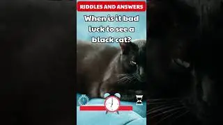 "Mind-Boggling Funny Riddles: When is it bad luck to see a black cat?#riddles