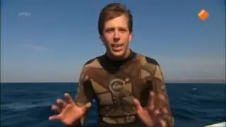 Freek in het wild  Zwartpunthaaien kijk je op npo nl