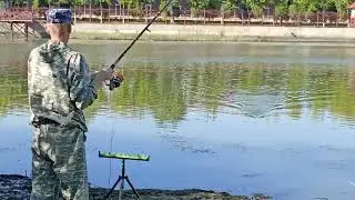 Сазан не пришёл, окунь зашёл!!