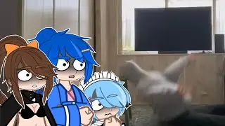 Re zero react to 