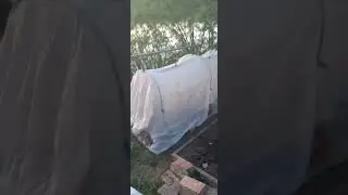14 ноября 2023 г.