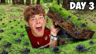 7 EXTREME Challenges You'd NEVER Try!