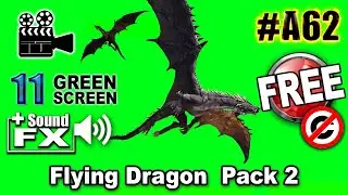 Dragon Flying Pack 2 Green Screen 3D