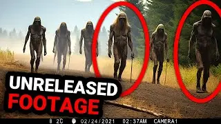 Disturbing Trail Cam Footage Revealed: Not for the Faint-Hearted!