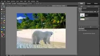 Photoshop Elements 10 - Remove Image Background using Magic Extractor Tool