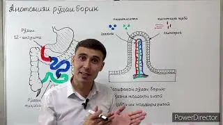 РУДАИ БОРИК, ГАФС, ЧИГАР ВА ГАДУДИ ЗЕРИ МЕЪДА.