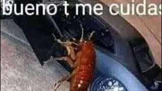:D Tengo Bajon Xd