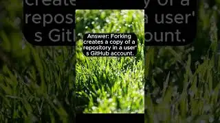 GIT Forking