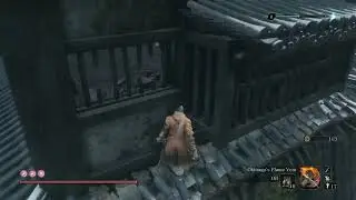 Sekiro: Why double ogre skip isn't possible