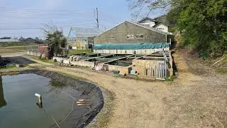 #Lovekoidealerlive weekoverzicht 13 verslappen in Japan en te laat op je 1e werkdag !!!!!