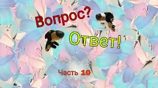 Вопрос-ответ (часть 10)