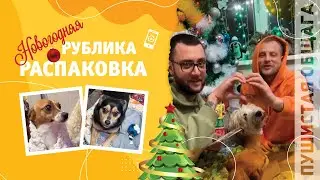 НОВОГОДНЯЯ РУБЛИКА РАСПАКОВКА