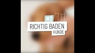 Tipp der Woche - Wie bade ich meinen Hund richtig?