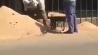 Manashunaqa shogertlaring kop bo'lsa ishing tez bitadi😂😂😂