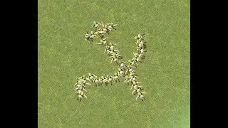 Shrek Dancing to ussr national athem reggae remix