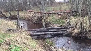 ПОРНО С УЧИЛКОЙ - Метаморфозы