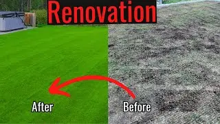 7 STEP spring lawn renovation 2024!
